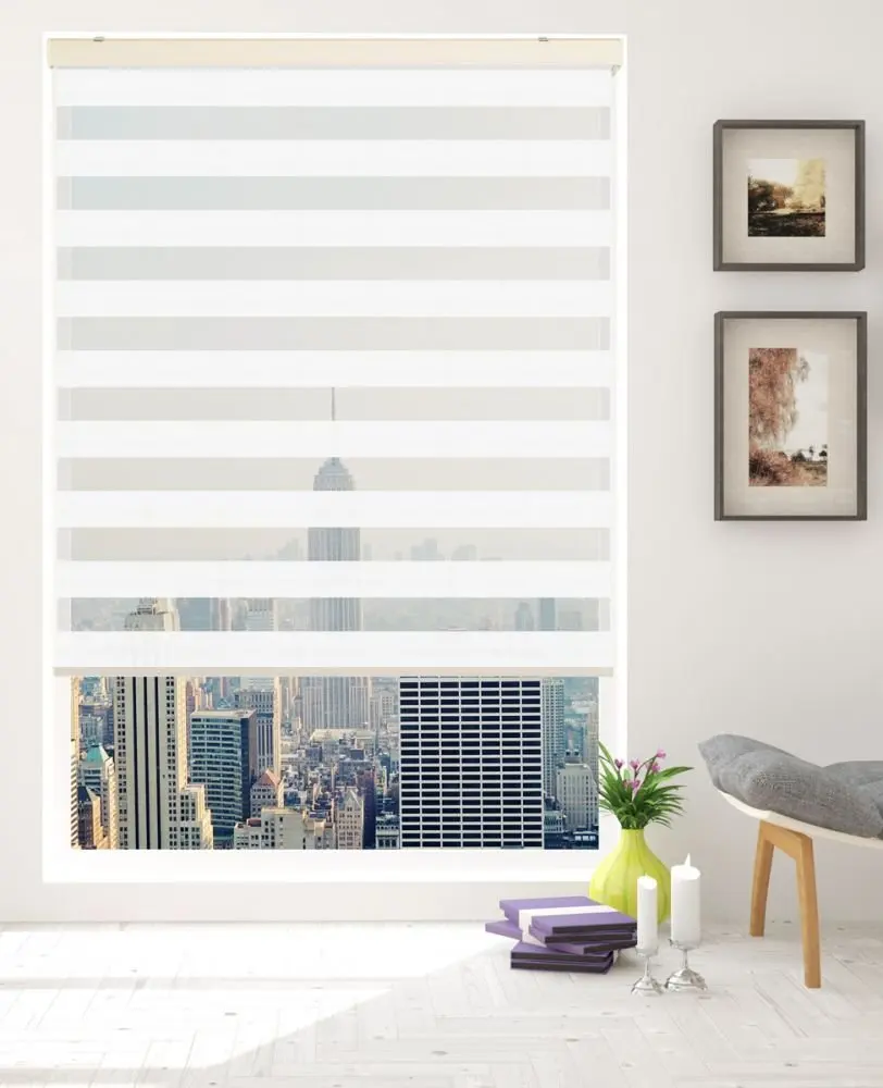 Easy to Install Horizontal Window Shade Blind Zebra Dual Roller Blinds Day and Night Blinds Curtains