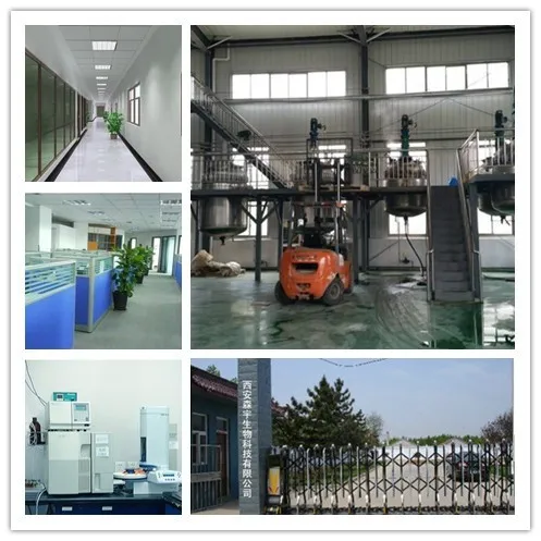 Food Grade Persimmon folium extract 10:1 Persimmon leaf extract powder