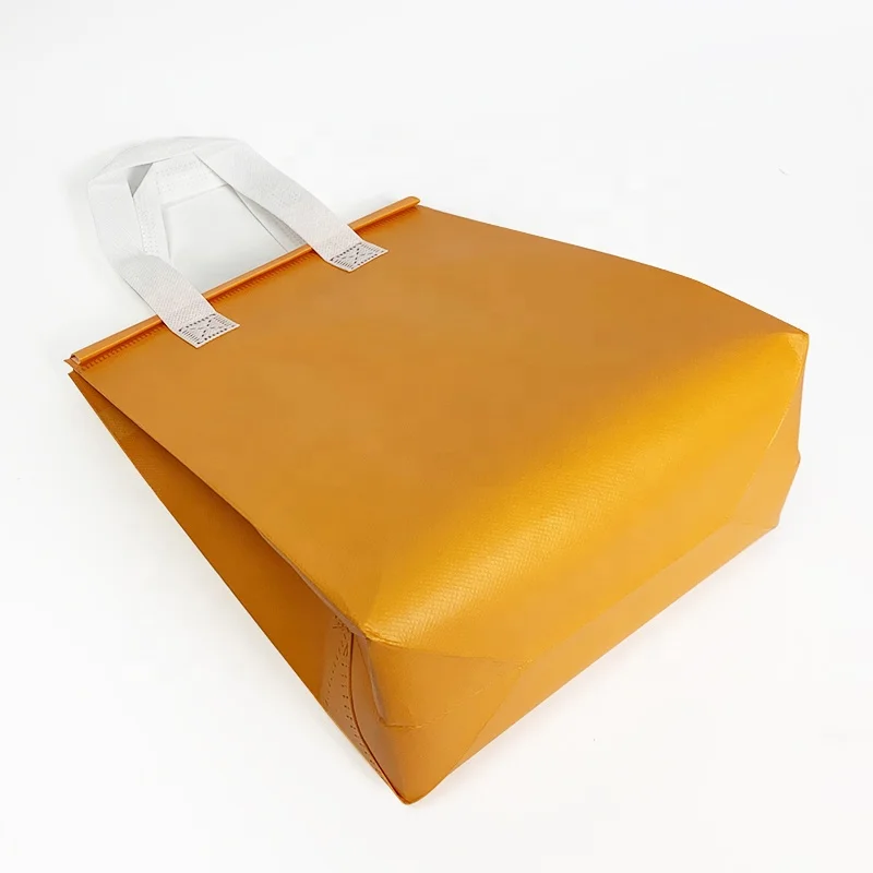 Disposable Thermal Insulated Cooler Bag Grocery Cool Carry Non Woven Lunch Cooler Bag for Food