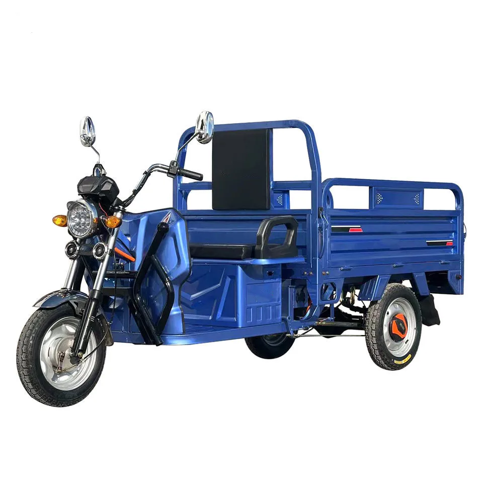 Hot Selling Electric Tricycles Cargo Truck Big Wheel Tricycle for Adult