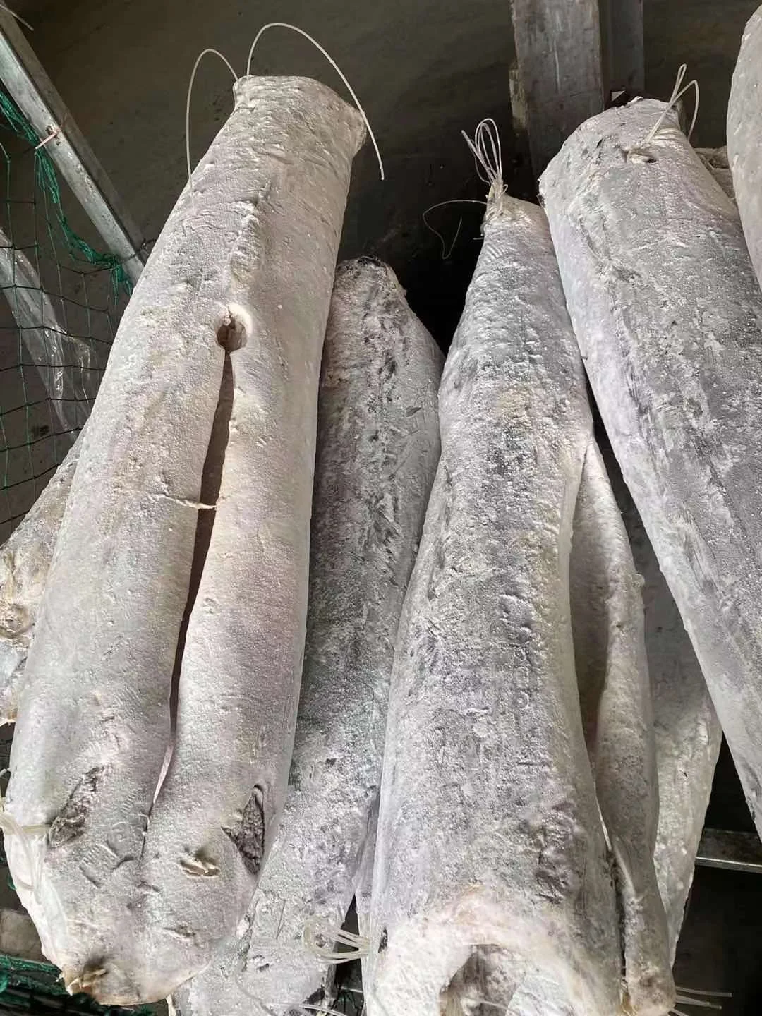 Wholesale Sword Fish DWT Sea Frozen Swordfish HGT