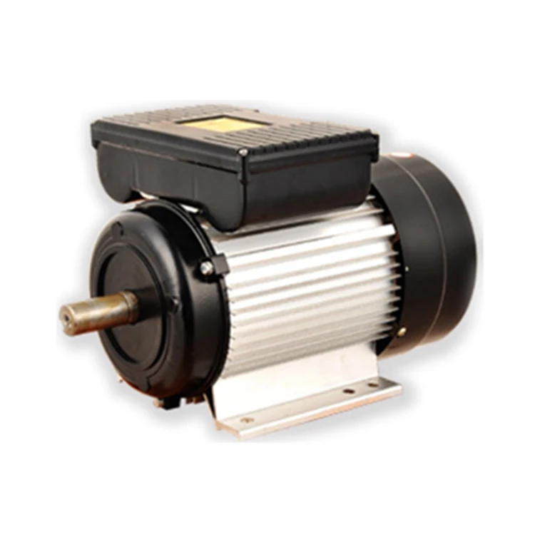 Ylseries Cast Iron Housing 0.75Kw Single Phase Asynchronous Motor Trade Ac Motor Electric