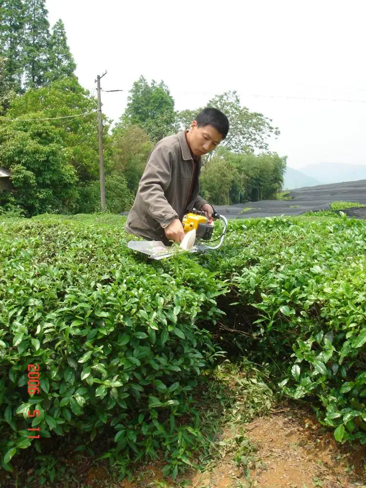 Classic products kawasaki tea garden cutting machine PST75H