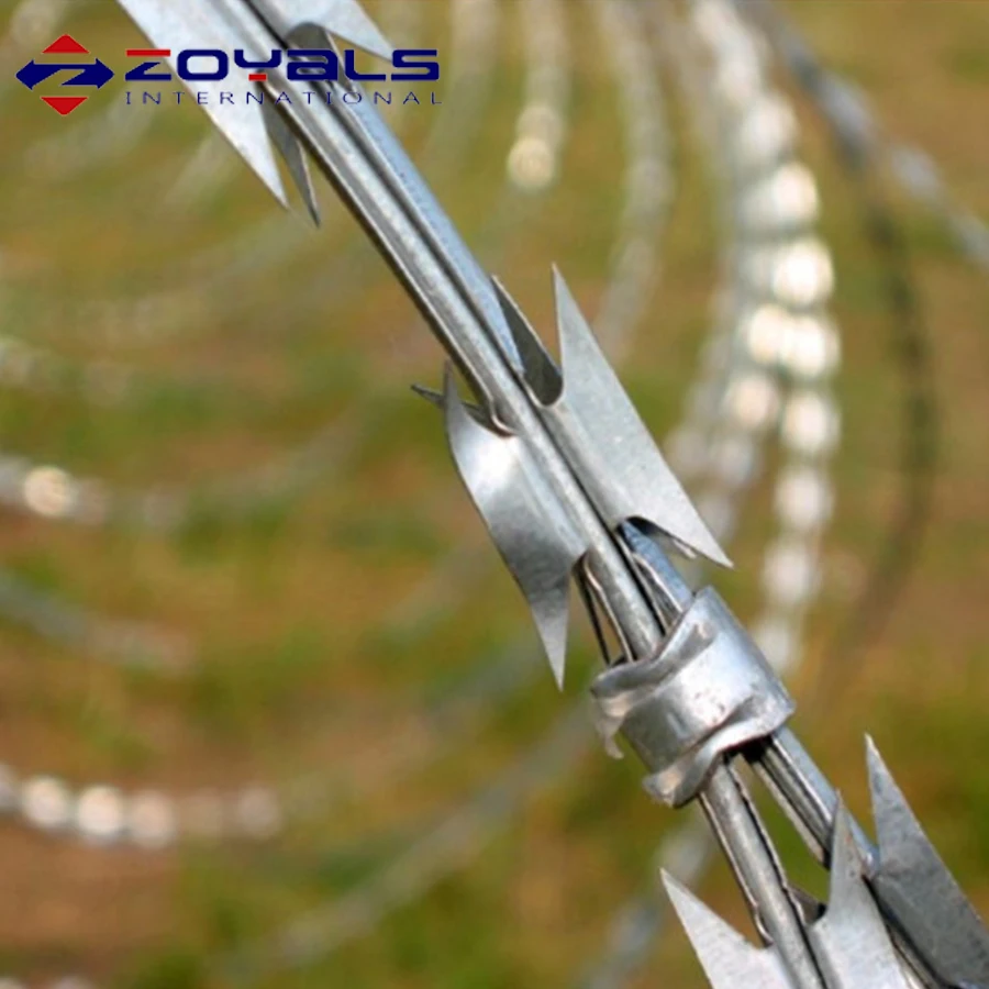 Хорошее качество тюремный охранник электрический сварные concertina лезвие бритвы колючей проволоки сетки забор