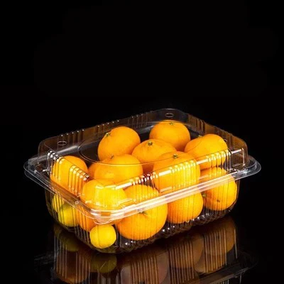 Custom clamshell fruit bean sprout vegetable cherry tomato grape Kiwi fruit clear PET fresh container box