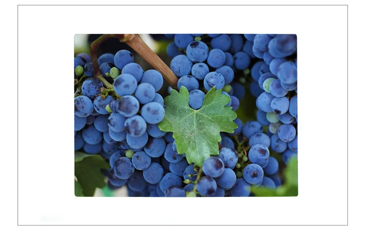 Custom Sublimation Blank Glossy Tempered Glass Cutting Board for Kitchen