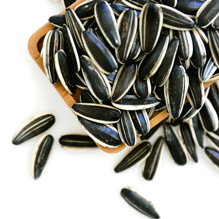 black small  sunflower bird seed for birds animal feed meal birdfood