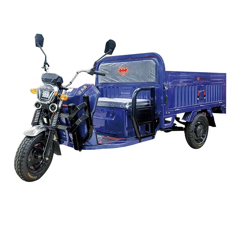 China factory three wheel E-Auto electric tricycle cargo truck