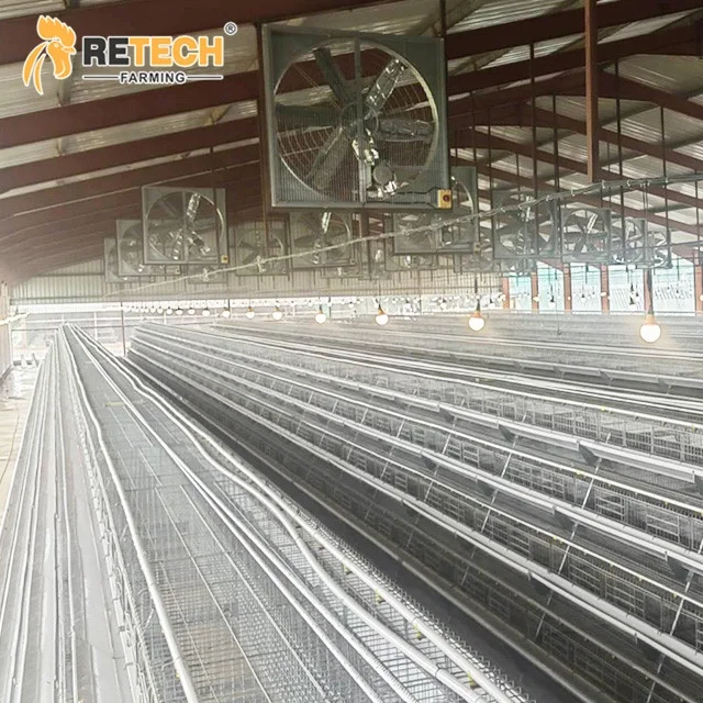 Hot sale layers poultry chicken feeding cages system poultry equipment