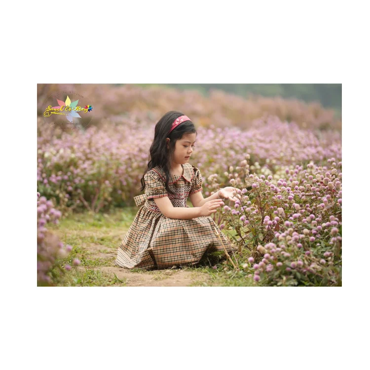 Western Brown Plaid Smock Dress For Baby Girl Fast Delivery Top Favorite Product Birthday Dress Fancy Pattern