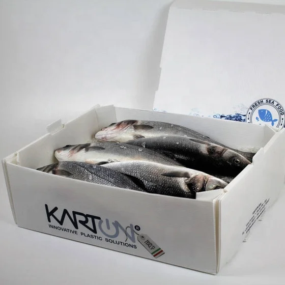 Salmon Fish Box Seafood Market PP Corrugated Sheet Box Custom Plastic Frozen Food Transport