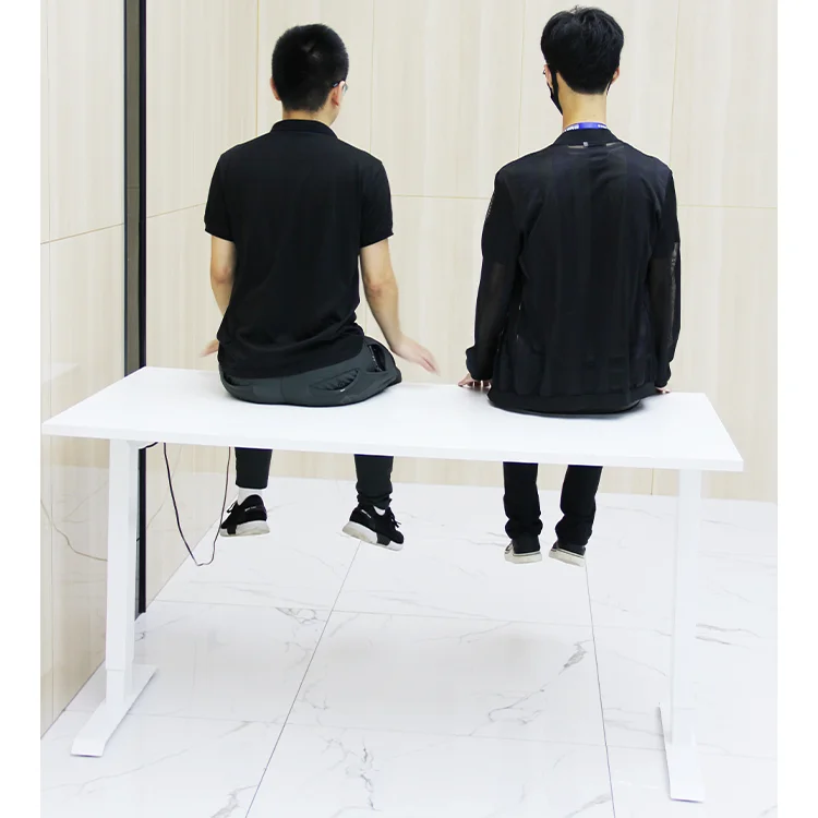 Richmat cheap computer smart electric height adjustable work table sit stand up desk frame with dual motor