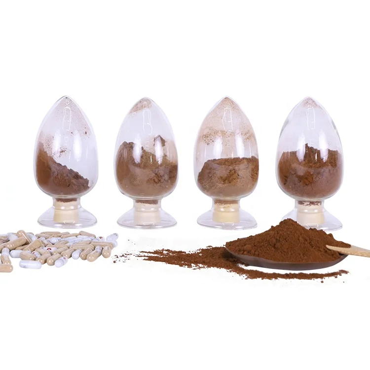 Health food raw materials Caterpillar fungus extract powder