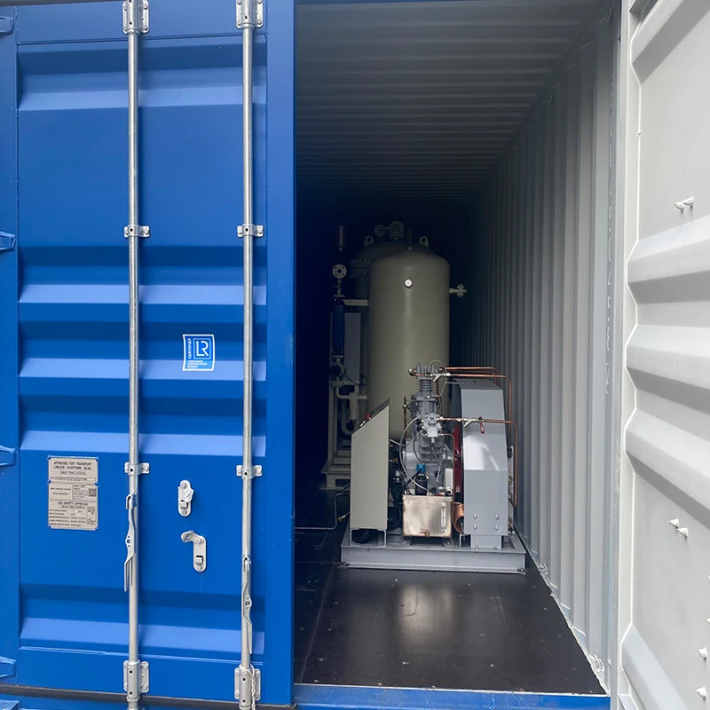 2022 NEWTEK oxigen generator oxygen gas plant high performance made in china