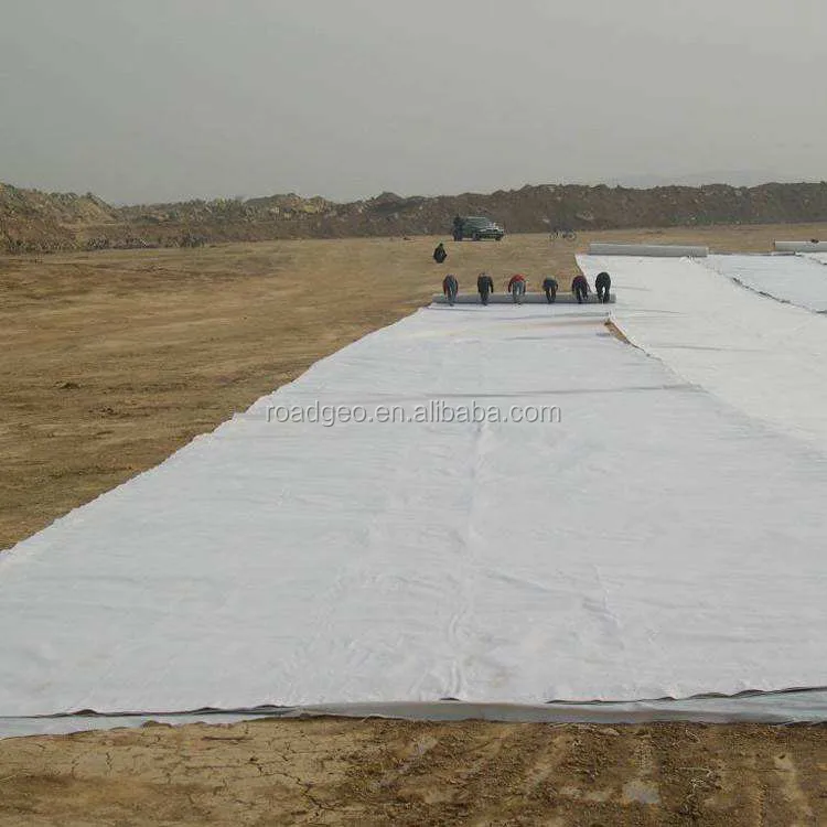 Flexible waterproof material Imported polyethylene resin hdpe geomembrane hdpe