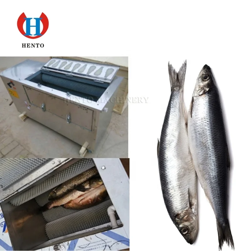 Hot Sale Fish Processing Equipment / Scaler Fish Processing Machines / Fish Scale Remover