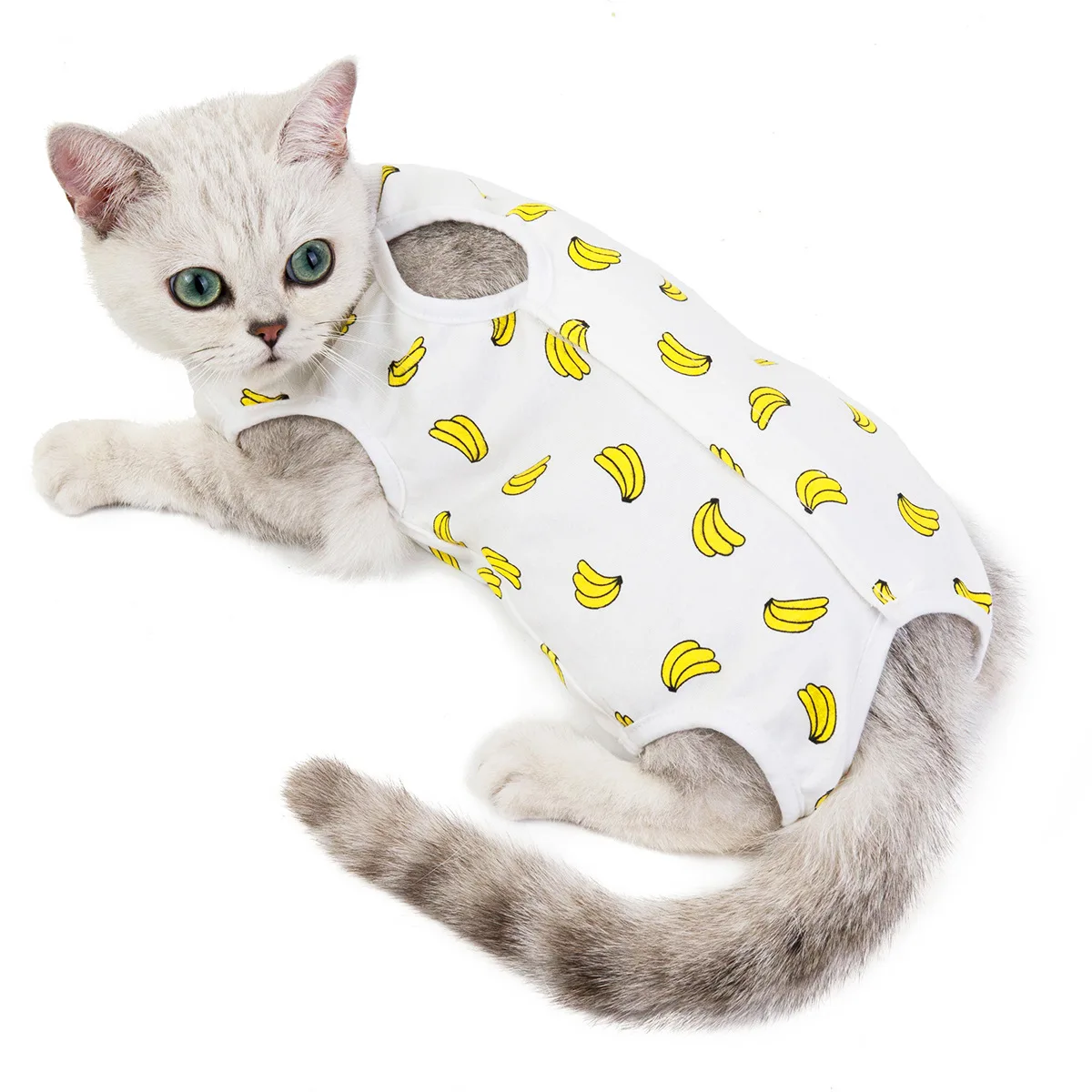 Kitten spay/Neuter kitten postnatal/Spring/Summer kitten scrubbing suit anti-lick weaning