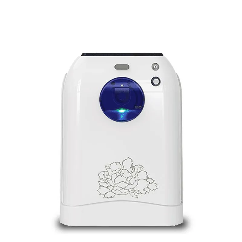 2021 new model Factory Supply  Portable Low Noise 1-7L Home Oxygen concentrator with nebulier 110V and 220V available