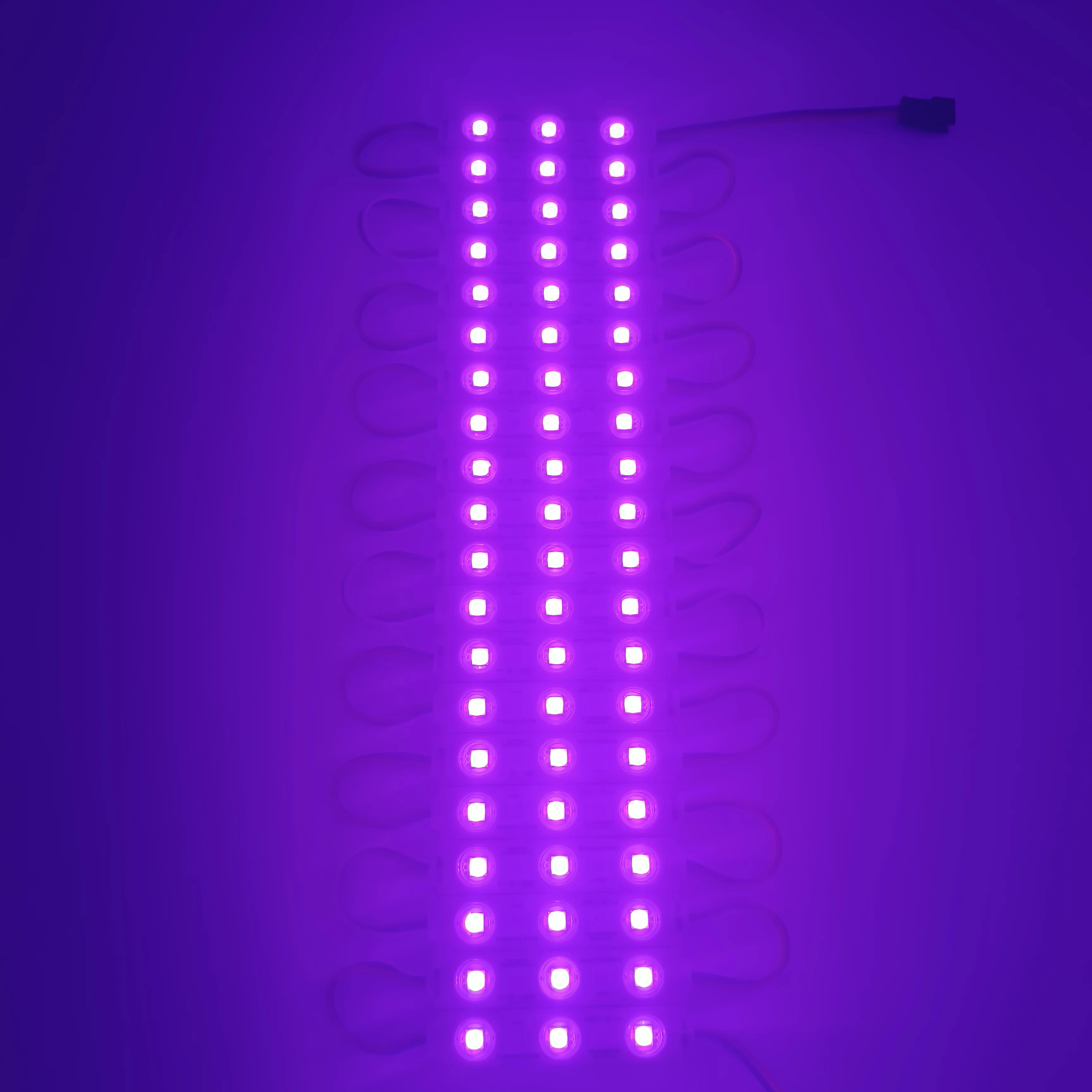 Czinelight Hot Selling Dc5v 12mm Ws2811 Ip68 Waterproof Addressable Rgb Seven colors of magic Led Module Led Light String Green