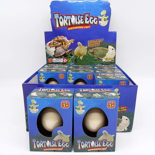 Hight Quality Growing in Water Kids Education Toys Turtle Egg Tortoise