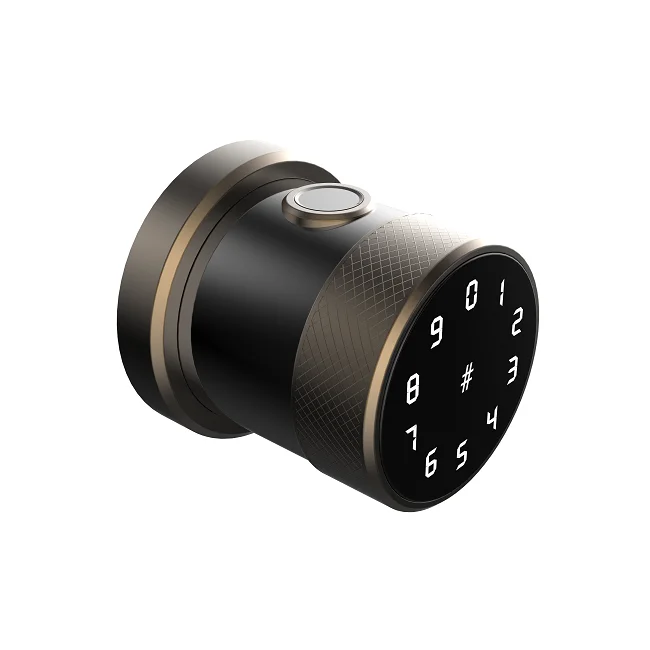 High Quality European Style Cylinder Smart Fingerprint Password Knob Door Lock Round Handle Door Lock For Front Door With App