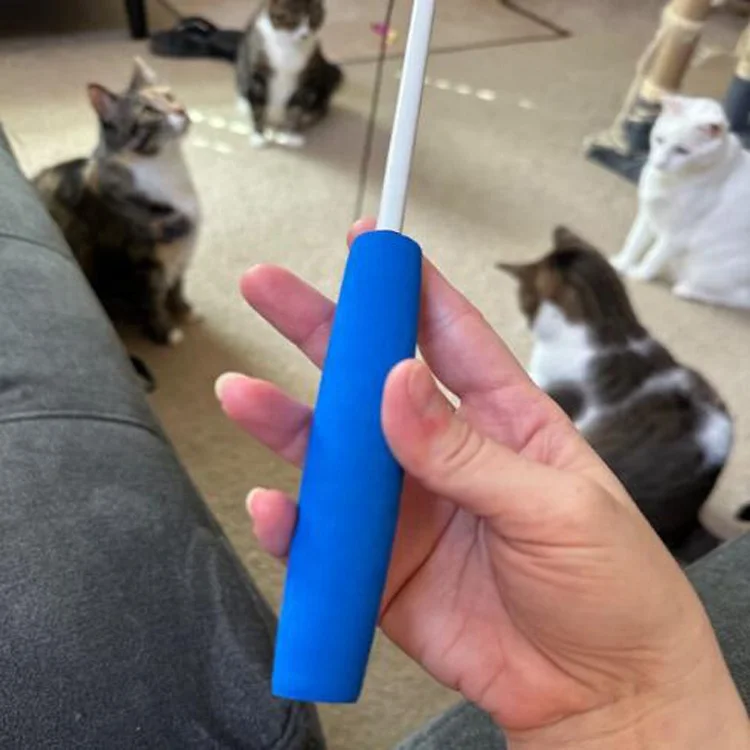 Worm Teaser & Exerciser - Durable Flirt Pole/Cat play Toy