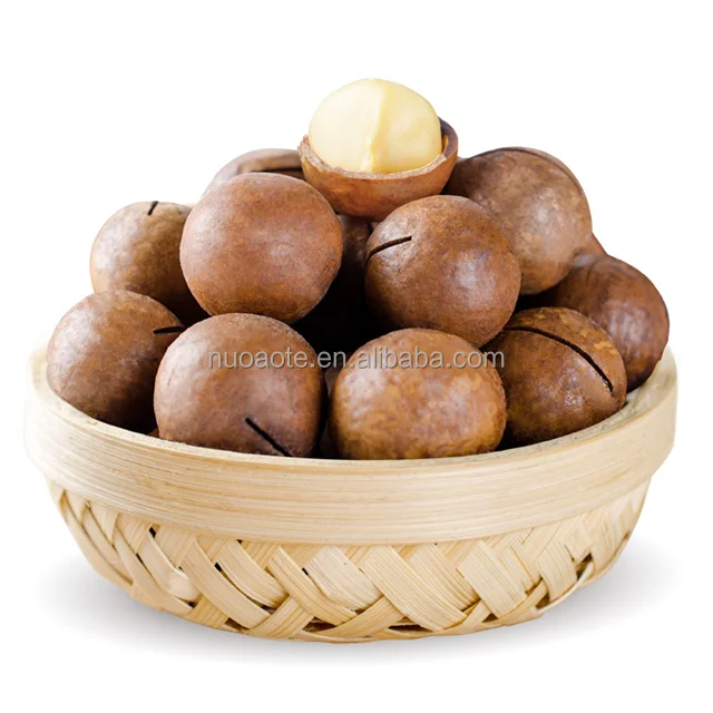  Конкурентоспособная цена Noci Di Macadamia из Китая
