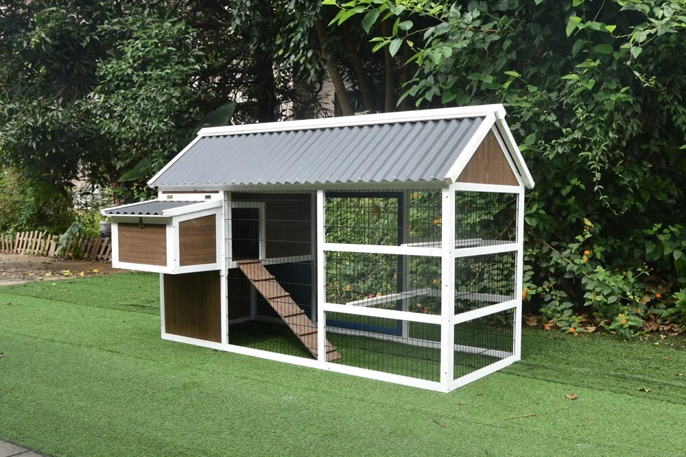 Wooden newly design hot-selling chicken coop with plastic roof