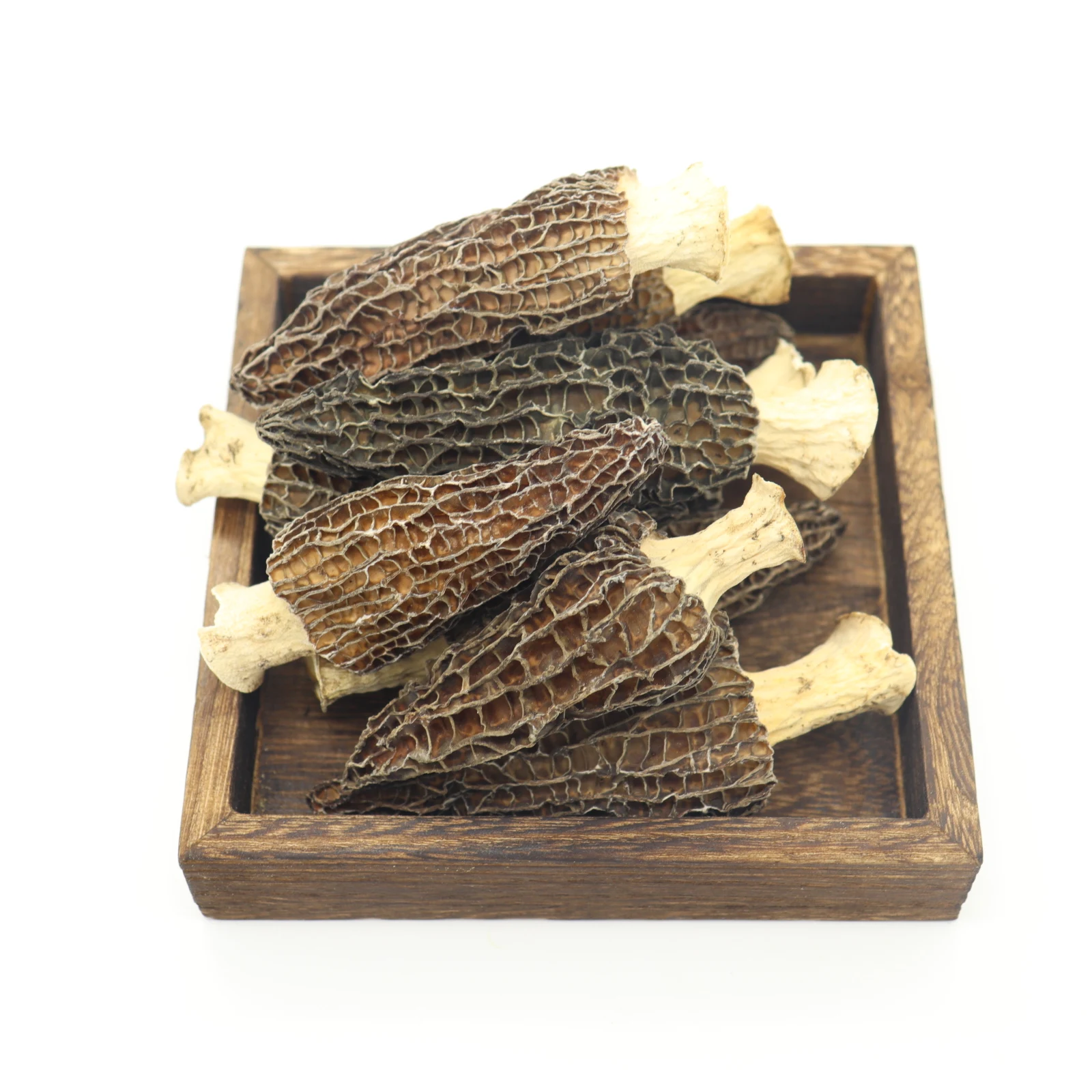 Высококачественный соляный гриб Morchella свежие морельные грибы оптовая цена морельный