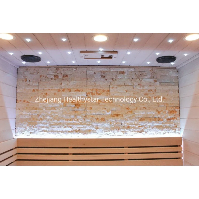 Double Bench Electric Steam Combined Sauna with Stone