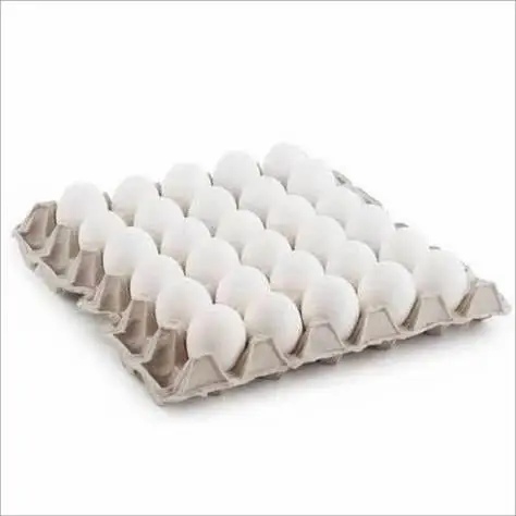 Customized high quality 4/6/8/10/12/15/18/20/24/30 holes incubator quail paper egg tray for packaging