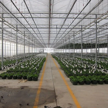 Good Price Agricultural Polycarbonate Plastic Board PC Sheet Greenhouse with Customized Hydroponic Design