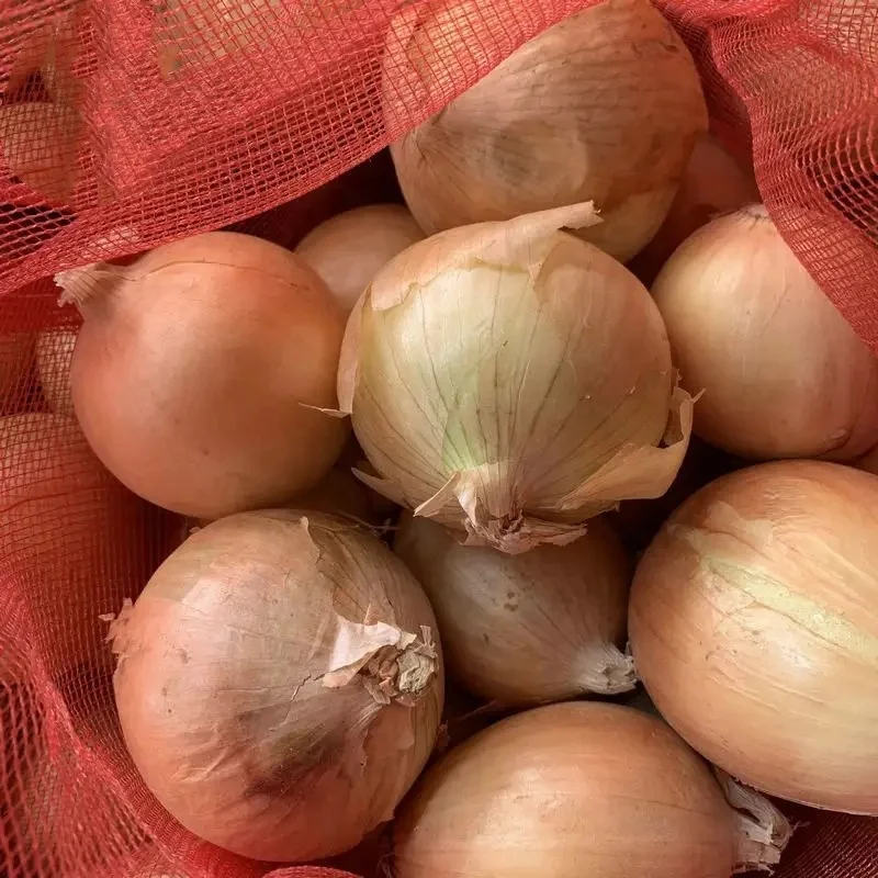 Chinese Fresh Yellow Onion Cheap Price Red Onions Export to Korea