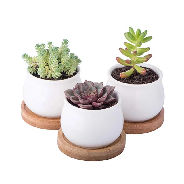 Premium 3 Piece Mini White Ceramic Succulent Planter Pot Set with Bamboo Bases