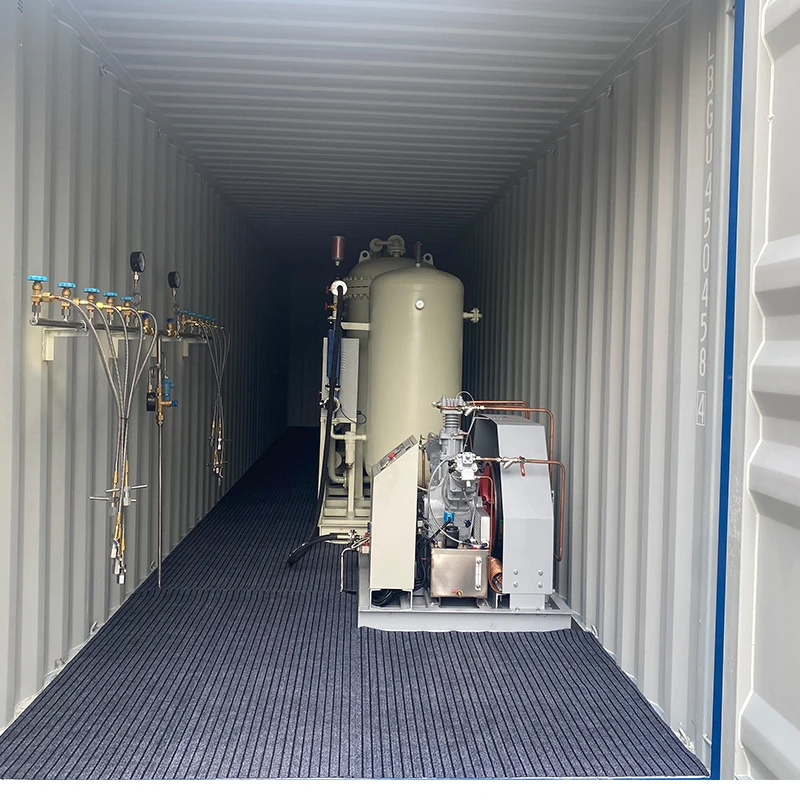 2022 NEWTEK oxigen generator oxygen gas plant high performance made in china
