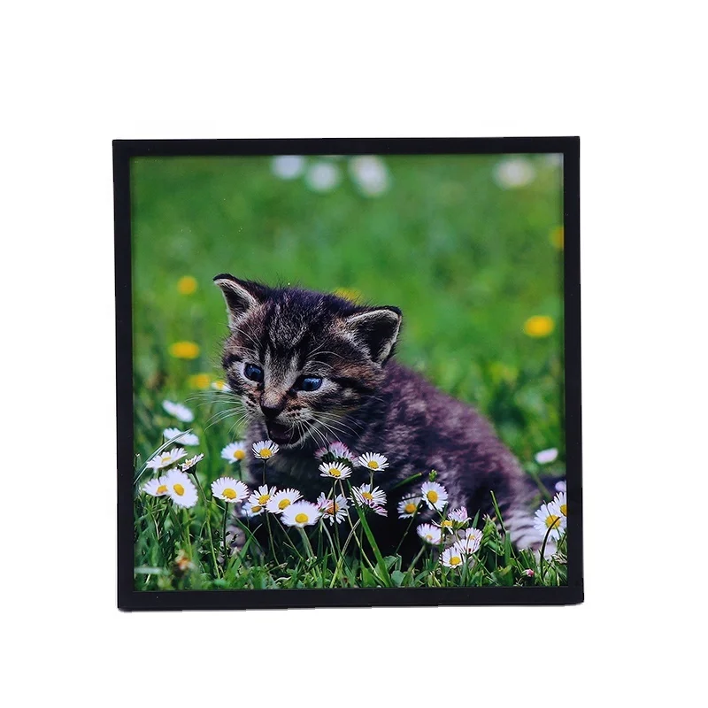Best selling custom wall hanging picture frame pet memorial square gallery photo frame wholesale