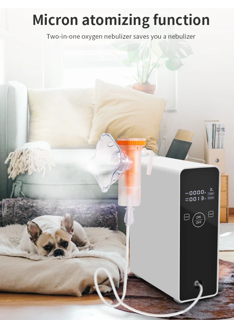  CE Hot selling 3/5/7/10 liters 220V Nebulization Function portable oxygen concentrator generator home peru