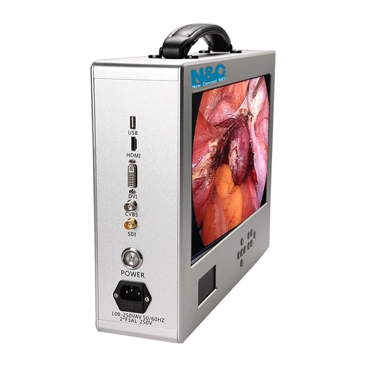 USB Playback Endoscope Camera with Integrated System