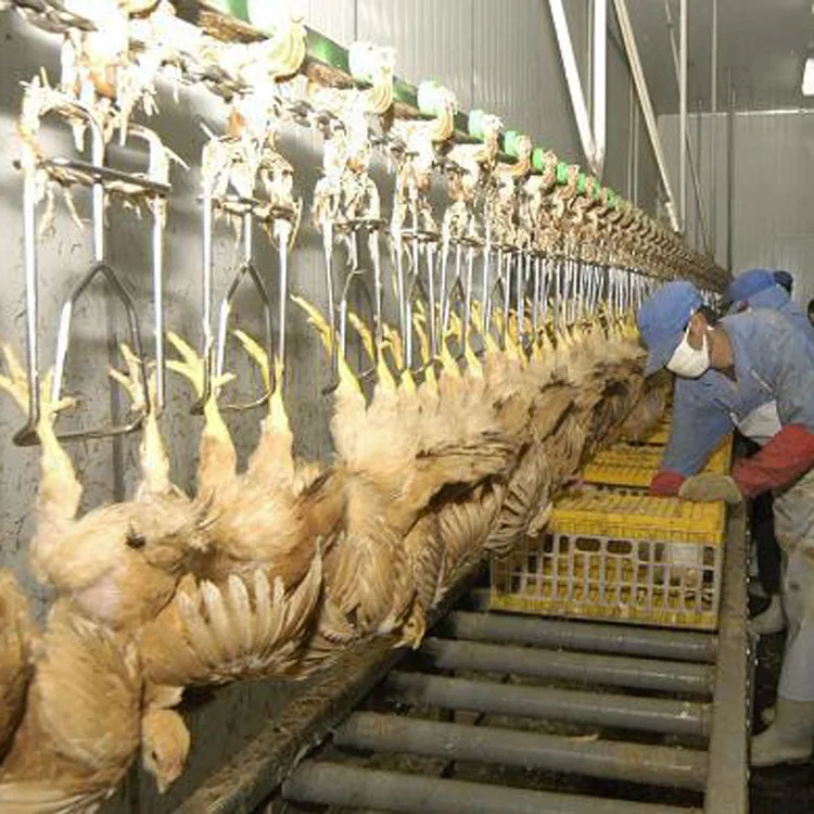 automatic chicken killing line machine / chicken slaughterhouse manufacturer /poultry slaughter machine