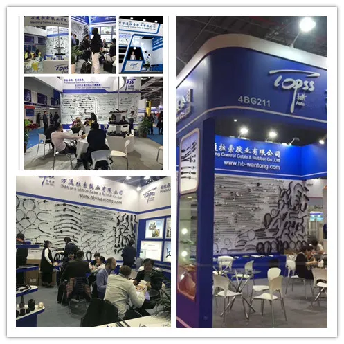 Wholesale OEM 43794-1G100 Transmission cable manufacturer for Hyundai cable