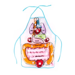 High Quality Customizable Colorful Montessori Sensorial Preschool Body Organ Teaching Aids Apron Kids Training Aids Baby Educati