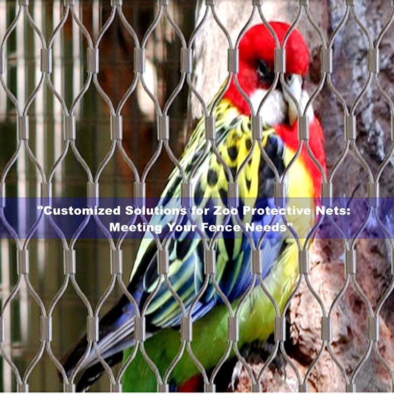 Supplier Good Aesthetic Bird Sanctuary Fencing For Wildlife Park