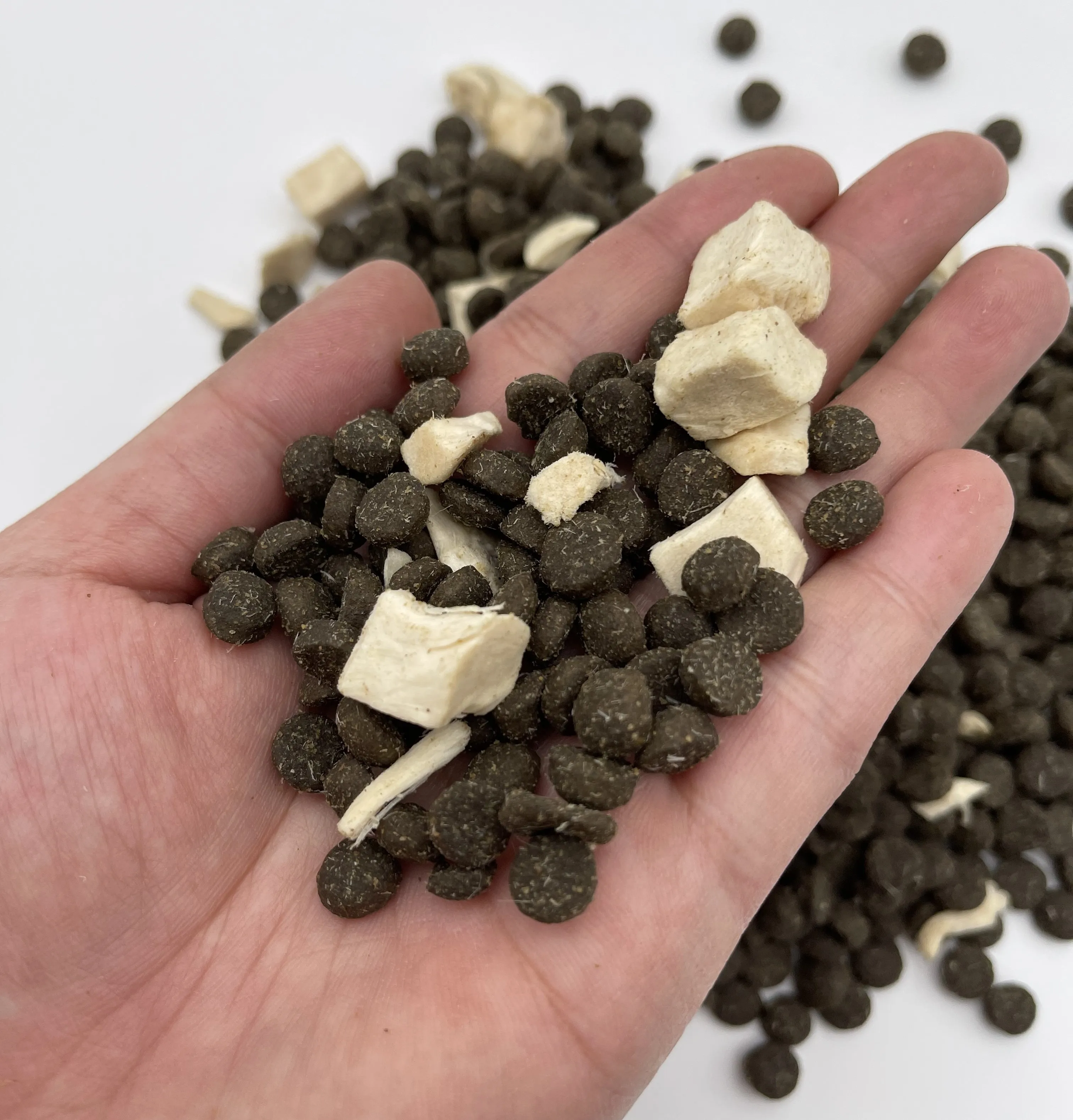 Nutrition Wellness Complete Dried Dog Food Strengthen Bones Dogs Dry Food Dog