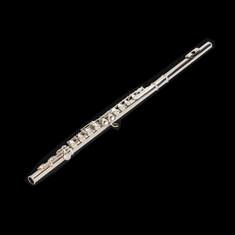 Melen Wholesale Price Flute Professional Wind Instrument Cupronickel Body 16 Closed Holes C Tone Flute