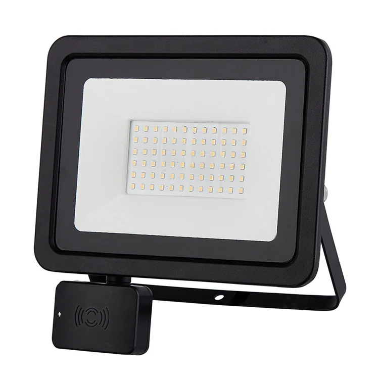 Die casting Aluminum 100 watt LED floodlight with PIR sensor or  MW sensor portable flood light