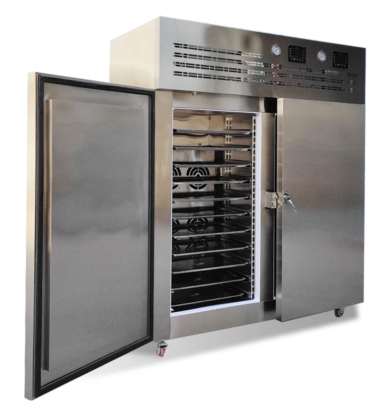 Shock Flash Fish Meat Quick Food Freezing IQF Machine Instant Industrial Cryogenic 500kg Hour Chiller Blast Freezer