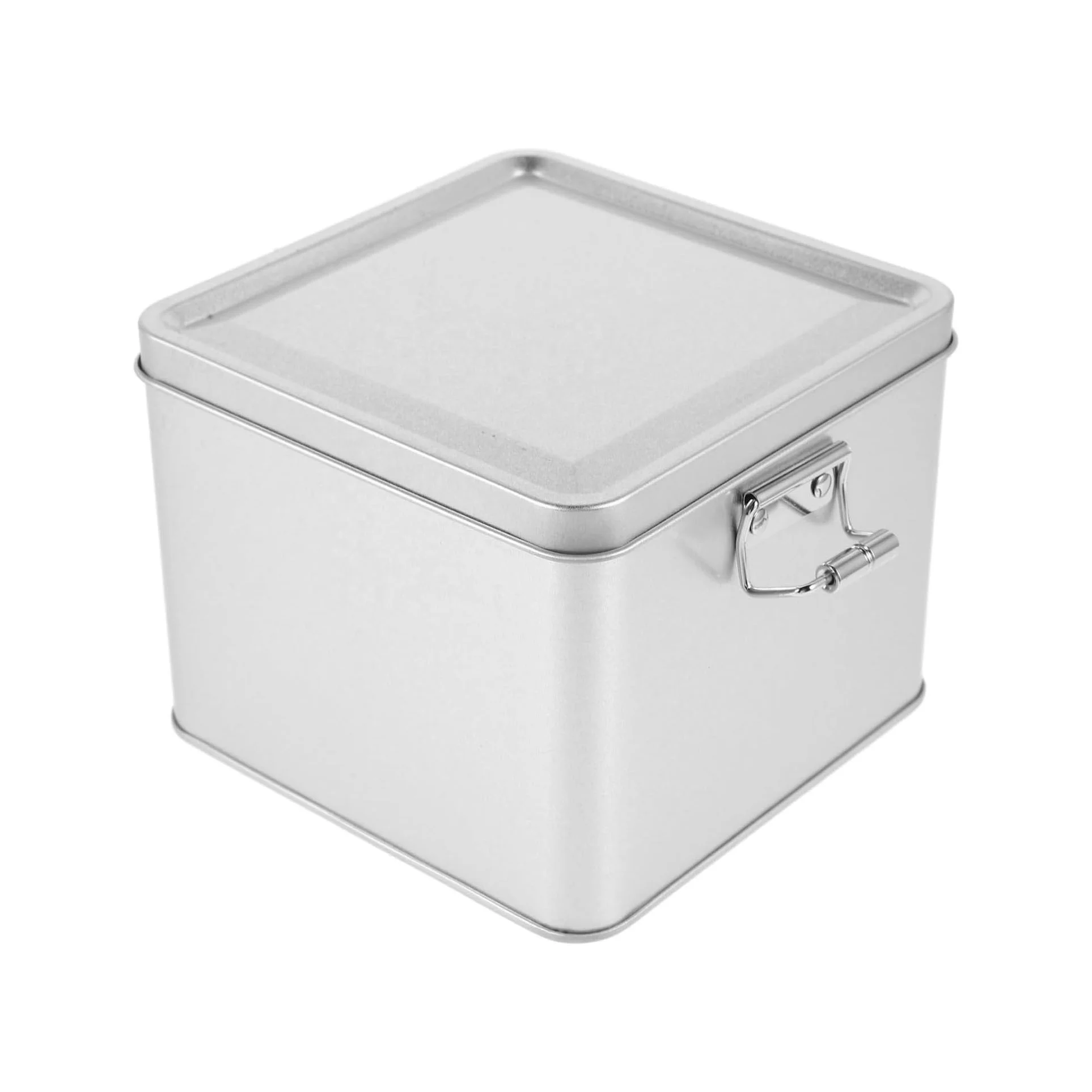 Novelty Empty Cookie Biscuits Storage Metal Box Square Tin with Buckle Lid