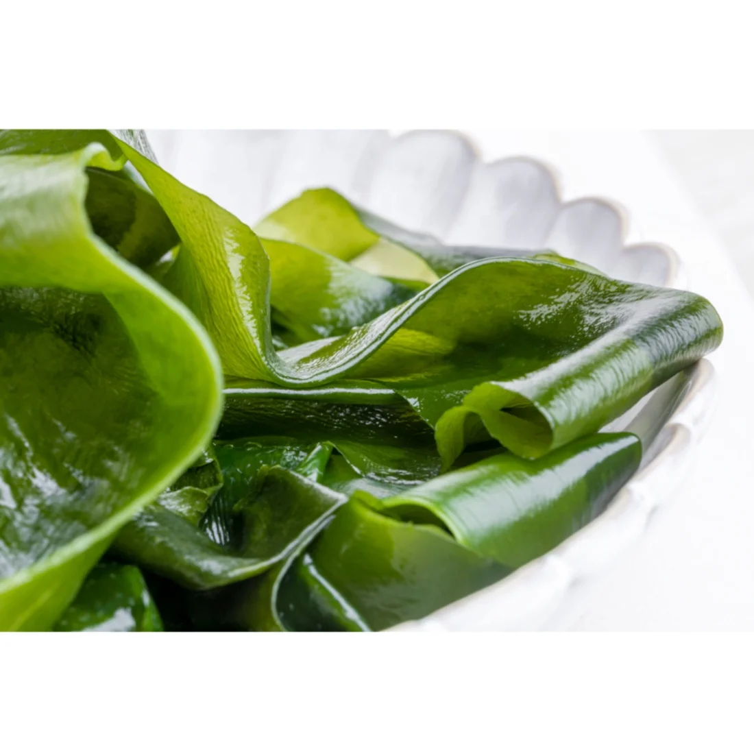 Оптовая продажа, зеленая еда, свежая органическая соль wakame