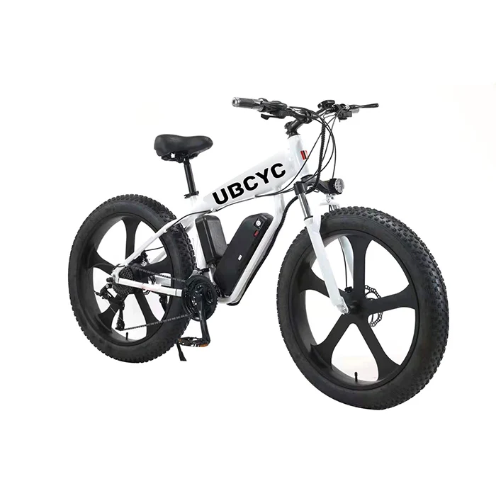 Adult High Power Dual Motor 48V 1000W Powerful Mens Mountain Full Suspension Fat Tire Ebike Electric Bicycle