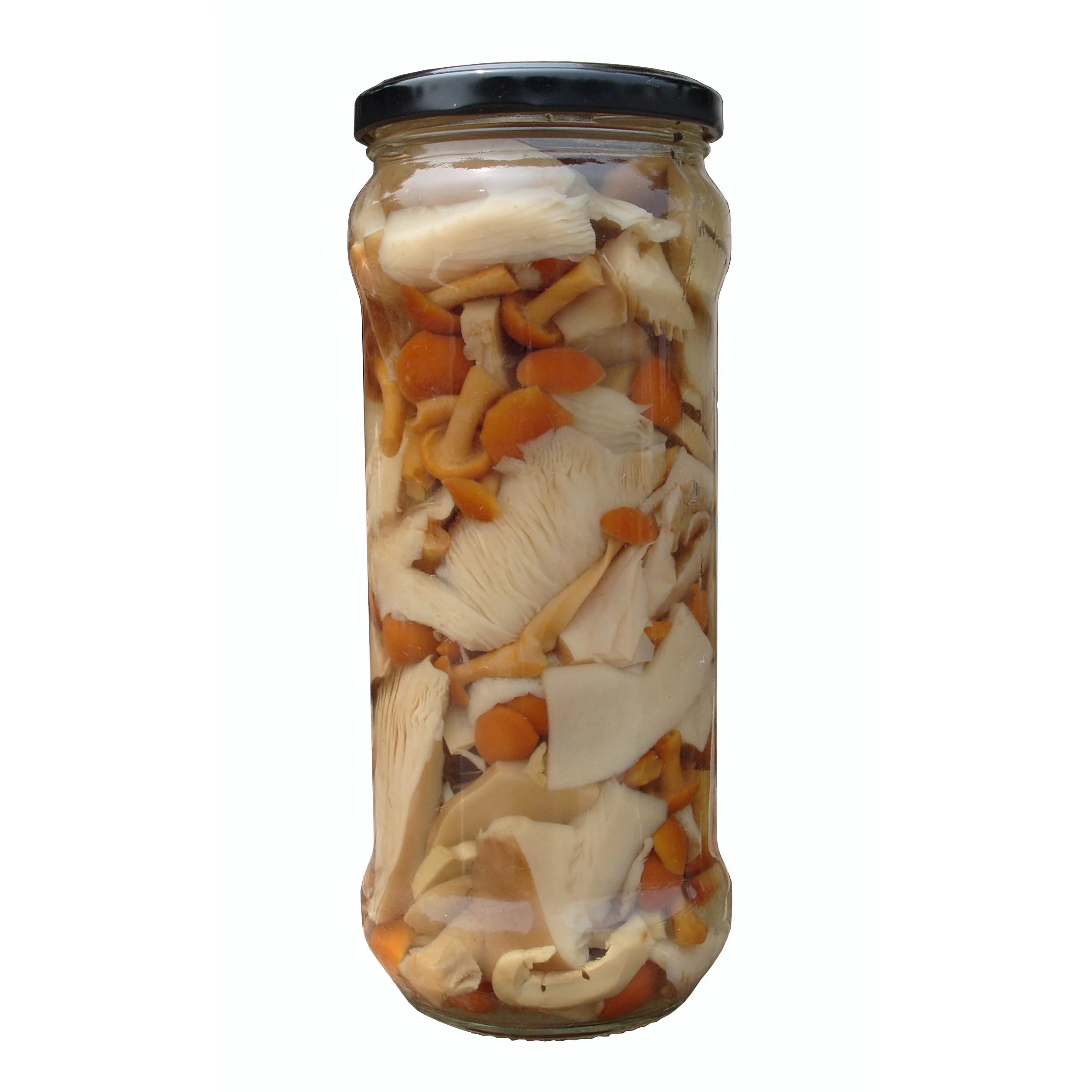 Chinese Canned Food Canned Mixed Mushrooms in brine with all kinds all sizes